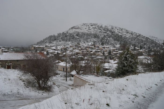 Τα χιονισμένα Βέρβενα! (εικόνες)