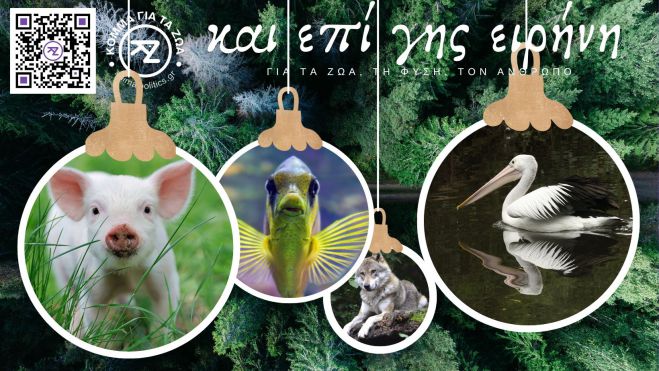 To Κόμμα για τα Ζώα | Ευχές σε αναίμακτο χριστουγεννιάτικο τραπέζι