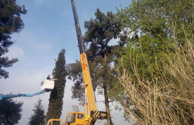 Κλάδεμα δένδρων στην &quot;Καλαβρύτων&quot; - Θα γίνονται διακοπές κυκλοφορίας