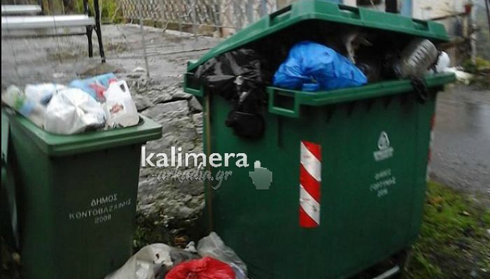 Πότε θα μαζευτούν τα σκουπίδια από τη Δήμητρα Γορτυνίας; (εικόνες)