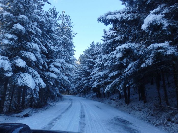 Λευκές διαδρομές στον χιονισμένο Πάρνωνα (εικόνες)