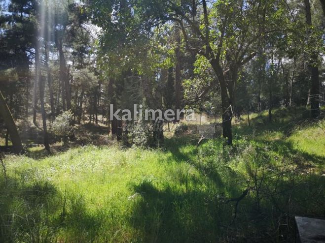 &Kappa;ί&nu;&delta;&upsilon;&nu;&omicron;&sigmaf; &gamma;&iota;&alpha; &pi;&upsilon;&rho;&kappa;&alpha;&gamma;&iota;έ&sigmaf; | &Alpha;&pi;&alpha;&gamma;ό&rho;&epsilon;&upsilon;&sigma;&eta; &kappa;&upsilon;&kappa;&lambda;&omicron;&phi;&omicron;&rho;ί&alpha;&sigmaf; &sigma;&tau;&eta;&nu; &Alpha;&rho;&kappa;&alpha;&delta;ί&alpha; - &Delta;&epsilon;ί&tau;&epsilon; &tau;&eta; &lambda;ί&sigma;&tau;&alpha; &mu;&epsilon; &tau;&iota;&sigmaf; &pi;&epsilon;&rho;&iota;&omicron;&chi;έ&sigmaf;!