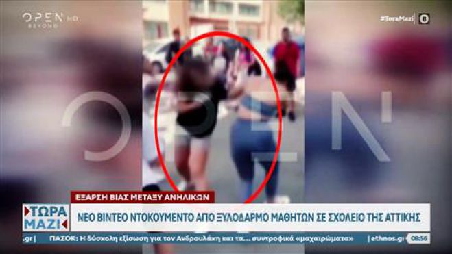 Ά&gamma;&iota;&omicron;&sigmaf; &Delta;&eta;&mu;ή&tau;&rho;&iota;&omicron;&sigmaf; | Ά&gamma;&rho;&iota;&omicron; &xi;ύ&lambda;&omicron; &sigma;&epsilon; &sigma;&chi;&omicron;&lambda;&epsilon;ί&omicron; &mu;&epsilon;&tau;&alpha;&xi;ύ &mu;&alpha;&theta;&eta;&tau;&rho;&iota;ώ&nu; - &Sigma;&omicron;&kappa;&alpha;&rho;&iota;&sigma;&tau;&iota;&kappa;ό &beta;ί&nu;&tau;&epsilon;&omicron;!