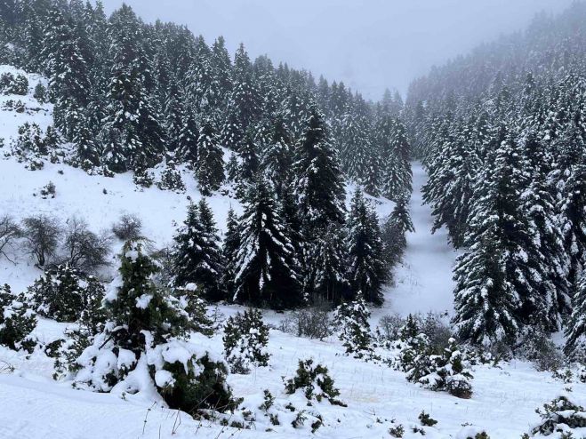 &Chi;&iota;&omicron;&nu;&omicron;&delta;&rho;&omicron;&mu;&iota;&kappa;ό &Kappa;έ&nu;&tau;&rho;&omicron; &Mu;&alpha;&iota;&nu;ά&lambda;&omicron;&upsilon; | Ό&lambda;&omicron;&iota; &omicron;&iota; &alpha;&nu;&alpha;&beta;&alpha;&tau;ή&rho;&epsilon;&sigmaf; &sigma;&epsilon; &lambda;&epsilon;&iota;&tau;&omicron;&upsilon;&rho;&gamma;ί&alpha; &tau;&omicron; &Sigma;ά&beta;&beta;&alpha;&tau;&omicron;!