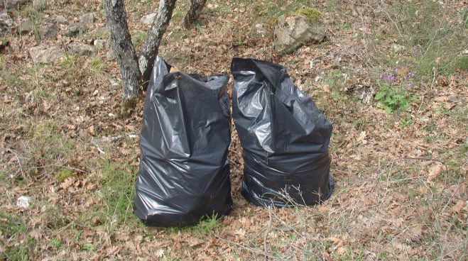 Δράση καθαριότητας στη Ζώνη Μεγαλόπολης (εικόνες)