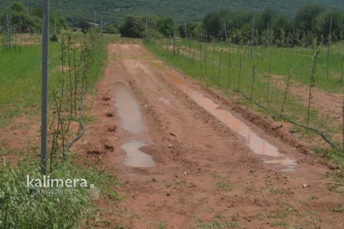 Αρκαδία - Κλιμάκιο της Δημοκρατικής Συμπαράταξης θα επισκεφθεί χωριά που &quot;χτυπήθηκαν&quot; από το χαλάζι