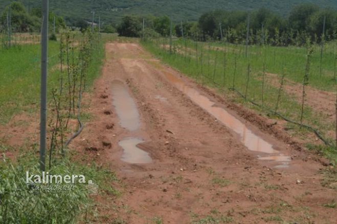 Αρκαδία - Κλιμάκιο της Δημοκρατικής Συμπαράταξης θα επισκεφθεί χωριά που &quot;χτυπήθηκαν&quot; από το χαλάζι