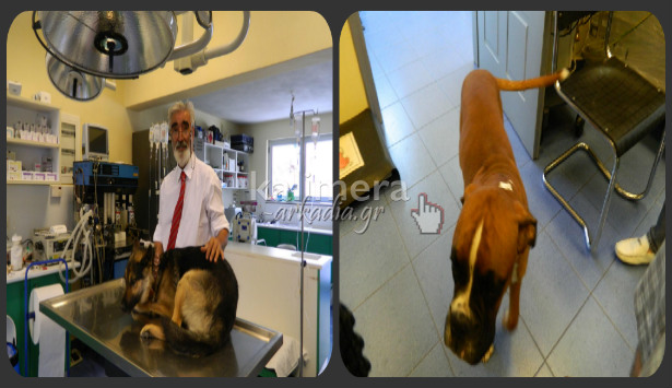 &Mu;&epsilon;&gamma;ά&lambda;&omicron; &pi;&rho;ό&beta;&lambda;&eta;&mu;&alpha; &mu;&epsilon; &alpha;&delta;έ&sigma;&pi;&omicron;&tau;&alpha; &sigma;&tau;&eta;&nu; &Tau;&rho;ί&pi;&omicron;&lambda;&eta; &ndash; &Epsilon;&kappa;&kappa;&rho;&epsilon;&mu;&mu;&epsilon;ί &eta; &delta;&eta;&mu;&iota;&omicron;&upsilon;&rho;&gamma;ί&alpha; &kappa;&upsilon;&nu;&omicron;&kappa;&omicron;&mu;&epsilon;ί&omicron;&upsilon; &ndash; Έ&tau;&omicron;&iota;&mu;&omicron; &nu;&alpha; &lambda;&epsilon;&iota;&tau;&omicron;&upsilon;&rho;&gamma;ή&sigma;&epsilon;&iota; &tau;&omicron;&pi;&iota;&kappa;ό &phi;&iota;&lambda;&omicron;&zeta;&omega;ϊ&kappa;ό &sigma;&omega;&mu;&alpha;&tau;&epsilon;ί&omicron;! (vd)