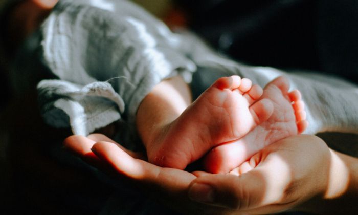 &Eta;&lambda;&epsilon;ί&alpha; | &Mu;&omega;&rho;ό 10 &mu;&eta;&nu;ώ&nu; &mu;&epsilon; &kappa;&alpha;&tau;ά&gamma;&mu;&alpha;&tau;&alpha; &kappa;&alpha;&iota; &epsilon;&gamma;&kappa;&alpha;ύ&mu;&alpha;&tau;&alpha; &sigma;&tau;&omicron; &Kappa;&alpha;&rho;&alpha;&mu;&alpha;&nu;&delta;ά&nu;&epsilon;&iota;&omicron; &ndash; &Tau;&iota; &epsilon;&rho;&epsilon;&upsilon;&nu;ά &eta; &Alpha;&sigma;&tau;&upsilon;&nu;&omicron;&mu;ί&alpha;