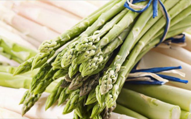 &Delta;&iota;&alpha;&tau;&rho;&omicron;&phi;ή &mu;&epsilon; &phi;&rho;έ&sigma;&kappa;&alpha; &alpha;&nu;&omicron;&iota;&xi;&iota;ά&tau;&iota;&kappa;&alpha; &tau;&rho;ό&phi;&iota;&mu;&alpha;!