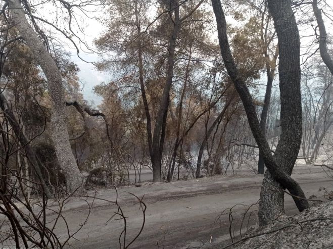 &Epsilon;ί&delta;&eta; &pi;&rho;ώ&tau;&eta;&sigmaf; &alpha;&nu;ά&gamma;&kappa;&eta;&sigmaf; &gamma;&iota;&alpha; &pi;&upsilon;&rho;ό&pi;&lambda;&eta;&kappa;&tau;&omicron;&upsilon;&sigmaf; &sigma;&upsilon;&gamma;&kappa;&epsilon;&nu;&tau;&rho;ώ&nu;&omicron;&nu;&tau;&alpha;&iota; &sigma;&tau;&eta;&nu; &Tau;&rho;ί&pi;&omicron;&lambda;&eta;