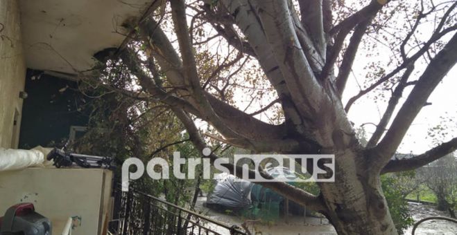 &Lambda;&epsilon;ύ&kappa;&alpha; έ&pi;&epsilon;&sigma;&epsilon; &pi;ά&nu;&omega; &sigma;&epsilon; &sigma;&pi;ί&tau;&iota; &sigma;&tau;&eta;&nu; &Alpha;&mu;&alpha;&lambda;&iota;ά&delta;&alpha;!