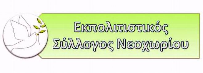 Νέα διοίκηση στον Πολιτιστικό Σύλλογο Νεοχωρίου Γορτυνίας (ονόματα)