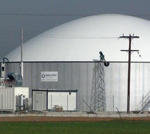 &Pi;&upsilon;&rho; &kappa;&alpha;&iota; &mu;&alpha;&nu;ί&alpha; &mu;&epsilon; &tau;&omicron; &Epsilon;&pi;&iota;&mu;&epsilon;&lambda;&eta;&tau;ή&rho;&iota;&omicron; &epsilon;ί&nu;&alpha;&iota; &kappa;ά&tau;&omicron;&iota;&kappa;&omicron;&iota; &tau;&eta;&sigmaf; &Mu;&alpha;&nu;&tau;&iota;&nu;&epsilon;ί&alpha;&sigmaf; &pi;&omicron;&upsilon; &alpha;&nu;&tau;&iota;&delta;&rho;&omicron;ύ&nu; &sigma;&tau;&eta; &lambda;&epsilon;&iota;&tau;&omicron;&upsilon;&rho;&gamma;ί&alpha; &mu;&omicron;&nu;ά&delta;&alpha;&sigmaf; &beta;&iota;&omicron;&alpha;&epsilon;&rho;ί&omicron;&upsilon;!