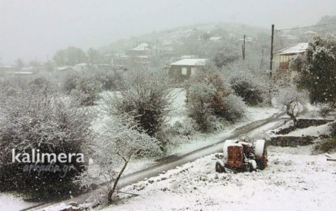 &Chi;&iota;ό&nu;&iota;&alpha; &phi;έ&rho;&nu;&epsilon;&iota; &eta; &kappa;&alpha;&kappa;&omicron;&kappa;&alpha;&iota;&rho;ί&alpha; "BARBARA"