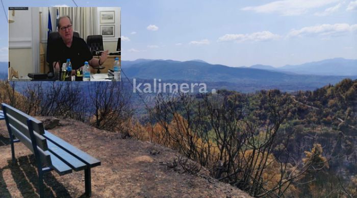 Νίκας: «Δέχθηκα επίθεση όταν πήγα για τις φωτιές στη Γορτυνία»