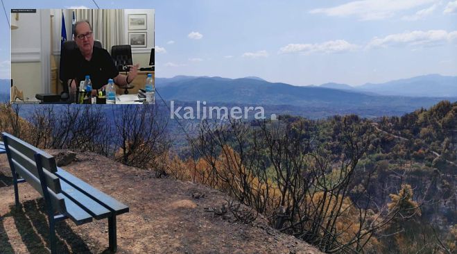 Νίκας: «Δέχθηκα επίθεση όταν πήγα για τις φωτιές στη Γορτυνία»