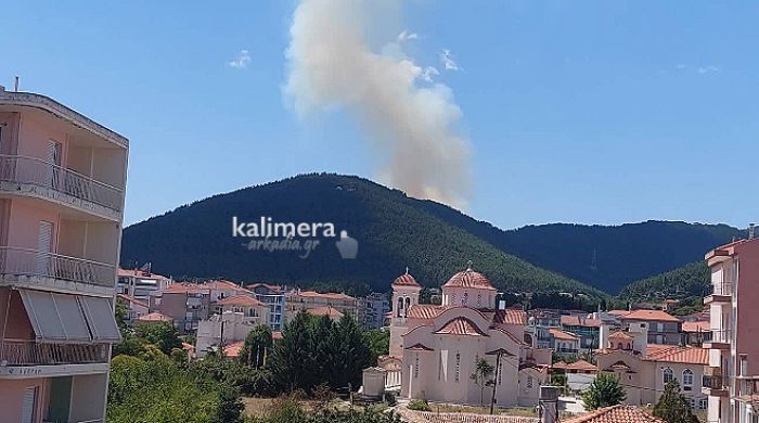 Πυρκαγιά ξέσπασε στην περιοχή Τσελεπάκου