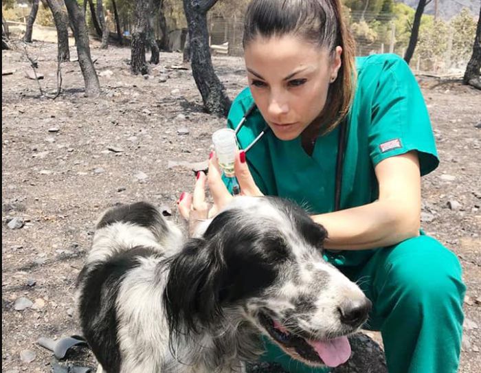 Βασιλική Σταθοπούλου | Η κτηνίατρος που σώζει σκυλάκια στα καμένα (εικόνες)