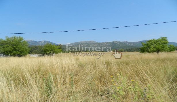 &Kappa;ί&nu;&delta;&upsilon;&nu;&omicron;&sigmaf; &pi;&upsilon;&rho;&kappa;&alpha;&gamma;&iota;ά&sigmaf; &alpha;&pi;ό &xi;&epsilon;&rho;ά &chi;ό&rho;&tau;&alpha; &sigma;&epsilon; &pi;&omicron;&lambda;&lambda;ά &sigma;&eta;&mu;&epsilon;ί&alpha; &tau;&eta;&sigmaf; &Tau;&rho;ί&pi;&omicron;&lambda;&eta;&sigmaf; (&epsilon;&iota;&kappa;ό&nu;&epsilon;&sigmaf; &kappa;&alpha;&iota; &beta;ί&nu;&tau;&epsilon;&omicron;)