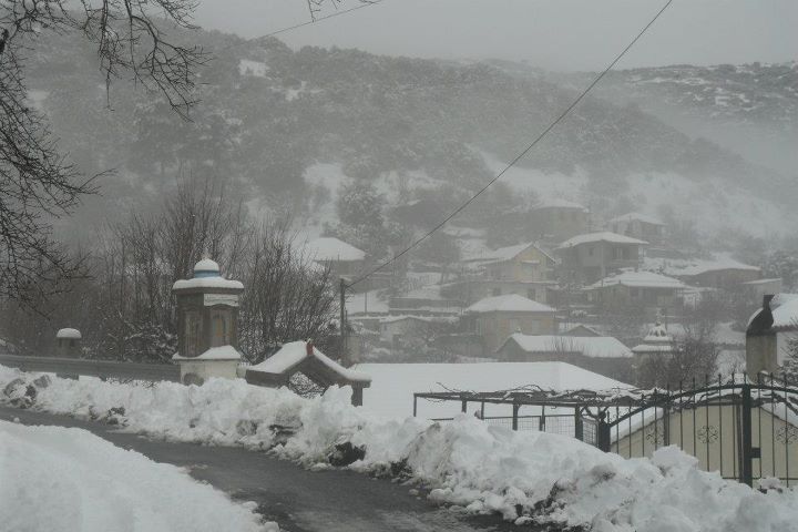 &Tau;&alpha; &chi;&rho;&iota;&sigma;&tau;&omicron;&upsilon;&gamma;&epsilon;&nu;&nu;&iota;ά&tau;&iota;&kappa;&alpha; έ&theta;&iota;&mu;&alpha; &sigma;&tau;&omicron; &Alpha;&gamma;&rho;ί&delta;&iota; &Gamma;&omicron;&rho;&tau;&upsilon;&nu;ί&alpha;&sigmaf;!