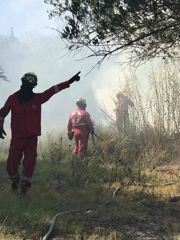 Οικονομική ενίσχυση πυρόπληκτων στο Δήμο Γορτυνίας από τον Ελληνικό Ερυθρό Σταυρό