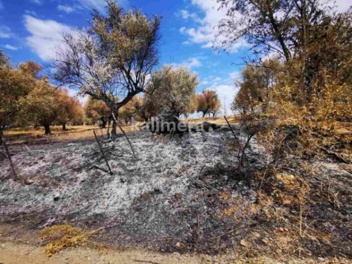 Οι πυροπληκτοι της Γορτυνίας παραμένουν απλήρωτοι...