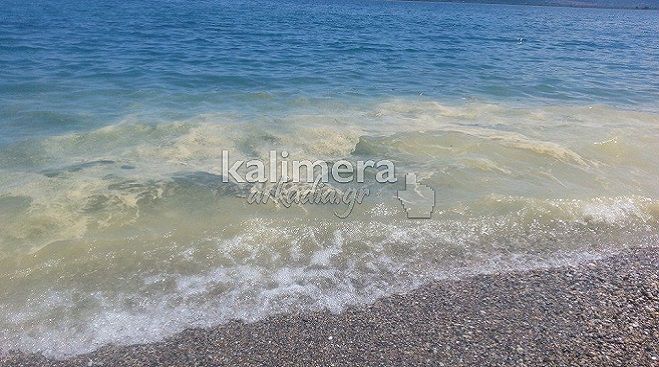 Κιτρίνισε η θάλασσα στο Παράλιο – Η γύρη είναι η αιτία; (εικόνες)