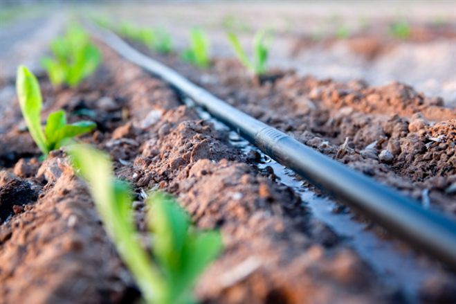 Γορτυνία | Συντήρηση σε δίκτυα ύδρευσης - Δείτε τη λίστα με τα χωριά!