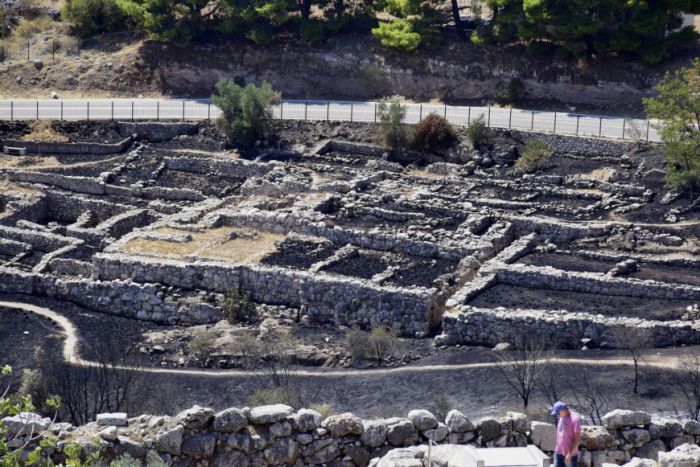 "&Omicron;&iota; &Mu;&upsilon;&kappa;ή&nu;&epsilon;&sigmaf; &delta;&epsilon;&nu; &kappa;&alpha;&tau;&alpha;&sigma;&tau;&rho;&alpha;&phi;ή&kappa;&alpha;&nu; &omicron;&lambda;&omicron;&sigma;&chi;&epsilon;&rho;ώ&sigmaf; ό&pi;&omega;&sigmaf; &omicron; &Epsilon;&rho;&eta;&mu;ί&tau;&eta;&sigmaf;. &Tau;&alpha; &alpha;&rho;&pi;&alpha;&kappa;&tau;&iota;&kappa;ά &tau;&omicron;&upsilon; &kappa;έ&rho;&delta;&omicron;&upsilon;&sigmaf; ό&mu;&omega;&sigmaf; &alpha;&kappa;&omicron;&nu;ί&zeta;&omicron;&upsilon;&nu; &tau;&alpha; &nu;ύ&chi;&iota;&alpha; &tau;&omicron;&upsilon;&sigmaf;"
