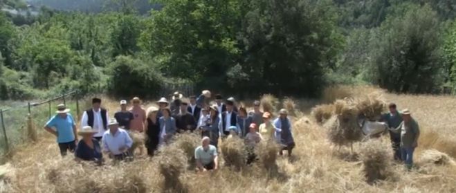 &Alpha;&nu;&alpha;&beta;ί&omega;&sigma;&eta; &tau;&omicron;&upsilon; &theta;&epsilon;&rho;&iota;&sigma;&mu;&omicron;ύ &sigma;&tau;&omicron; &Delta;&upsilon;&rho;&rho;ά&chi;&iota; &Alpha;&rho;&kappa;&alpha;&delta;ί&alpha;&sigmaf; &ndash; &Theta;&upsilon;&mu;ή&theta;&eta;&kappa;&alpha;&nu; &omicron;&iota; &pi;&alpha;&lambda;&alpha;&iota;ό&tau;&epsilon;&rho;&omicron;&iota; &ndash; Έ&mu;&alpha;&theta;&alpha;&nu; &omicron;&iota; &nu;&epsilon;ό&tau;&epsilon;&rho;&omicron;&iota;! (vd)
