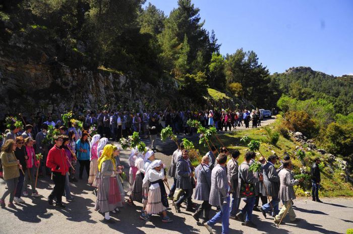 &Nu;&epsilon;&sigma;&tau;ά&nu;&eta; | &Delta;&rho;ώ&mu;&epsilon;&nu;&omicron; &gamma;&iota;&alpha; &tau;&omicron;&nu; &laquo;&Alpha;&gamma;&iota;ώ&rho;&gamma;&eta;&raquo; &mu;&epsilon; &alpha;&gamma;&rho;&iota;&omicron;&sigma;έ&lambda;&iota;&nu;&alpha;, &gamma;&kappa;&lambda;ί&tau;&sigma;&epsilon;&sigmaf; &kappa;&alpha;&iota; &tau;&rho;&alpha;&gamma;&omicron;ύ&delta;&iota;&alpha;! (vd)