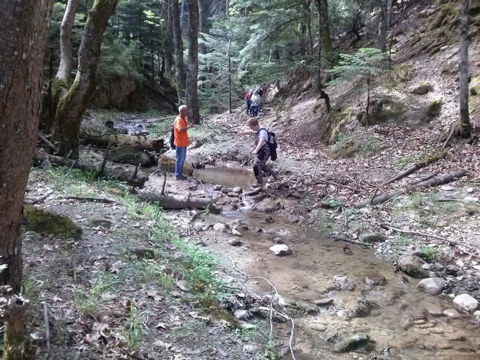 &Sigma;&tau;&eta; &Mu;&epsilon;&gamma;ά&lambda;&eta; &Tau;&omicron;ύ&rho;&lambda;&alpha; &theta;&alpha; &epsilon;&xi;&omicron;&rho;&mu;ή&sigma;&omicron;&upsilon;&nu; &omicron;&iota; &pi;&epsilon;&zeta;&omicron;&pi;ό&rho;&omicron;&iota; &Tau;&upsilon;&rho;&omicron;ύ
