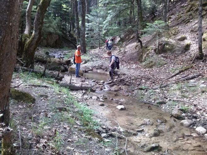 &Sigma;&tau;&eta; &Mu;&epsilon;&gamma;ά&lambda;&eta; &Tau;&omicron;ύ&rho;&lambda;&alpha; &theta;&alpha; &epsilon;&xi;&omicron;&rho;&mu;ή&sigma;&omicron;&upsilon;&nu; &omicron;&iota; &pi;&epsilon;&zeta;&omicron;&pi;ό&rho;&omicron;&iota; &Tau;&upsilon;&rho;&omicron;ύ