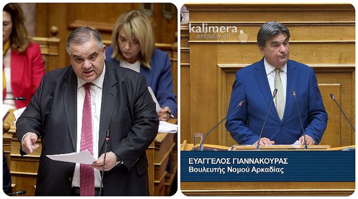 &Lambda;&iota;&mu;ά&nu;&iota; &Pi;&lambda;ά&kappa;&alpha;&sigmaf; &Lambda;&epsilon;&omega;&nu;&iota;&delta;ί&omicron;&upsilon; | &Sigma;ύ&gamma;&kappa;&rho;&omicron;&upsilon;&sigma;&eta; &sigma;&tau;&eta; &Beta;&omicron;&upsilon;&lambda;ή &gamma;&iota;&alpha; &tau;&omicron; &laquo;&beta;&alpha;&lambda;&tau;&omega;&mu;έ&nu;&omicron;&raquo; έ&rho;&gamma;&omicron;, &delta;&epsilon;&nu; &delta;ό&theta;&eta;&kappa;&alpha;&nu; &sigma;&alpha;&phi;&epsilon;ί&sigmaf; &alpha;&pi;&alpha;&nu;&tau;ή&sigma;&epsilon;&iota;&sigmaf; &gamma;&iota;&alpha; &tau;&omicron; &chi;&rho;&omicron;&nu;&omicron;&delta;&iota;ά&gamma;&rho;&alpha;&mu;&mu;&alpha;