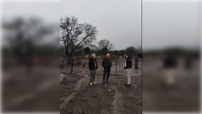 &Tau;ά&kappa;&eta;&sigmaf; &Delta;&omicron;ά&nu;&eta;&sigmaf; | &Omicron; &tau;&epsilon;&lambda;&epsilon;&upsilon;&tau;&alpha;ί&omicron;&sigmaf; &kappa;&tau;&eta;&nu;&omicron;&tau;&rho;ό&phi;&omicron;&sigmaf; &sigma;&tau;&omicron; &Pi;&alpha;&rho;&theta;έ&nu;&iota; - "Ό&lambda;&omicron;&iota; &tau;&epsilon;&lambda;&epsilon;&iota;ώ&sigma;&alpha;&nu;&epsilon;, &phi;ύ&gamma;&alpha;&nu;&epsilon;" (vd)