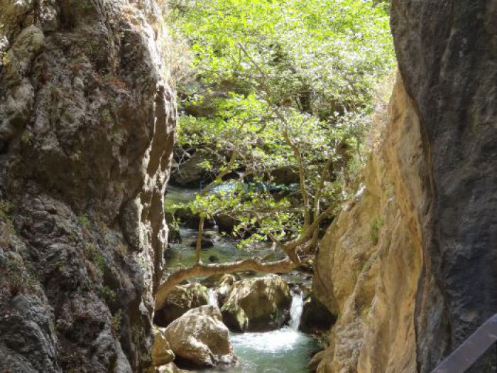 &Gamma;&iota;&alpha; &tau;&omicron; &phi;&alpha;&rho;ά&gamma;&gamma;&iota; &tau;&omicron;&upsilon; &Beta;&omicron;&upsilon;&rho;&alpha;ϊ&kappa;&omicron;ύ &epsilon;&tau;&omicron;&iota;&mu;ά&zeta;&omicron;&nu;&tau;&alpha;&iota; &sigma;&tau;&omicron; &Sigma;&Alpha;&Omicron;&Omicron;