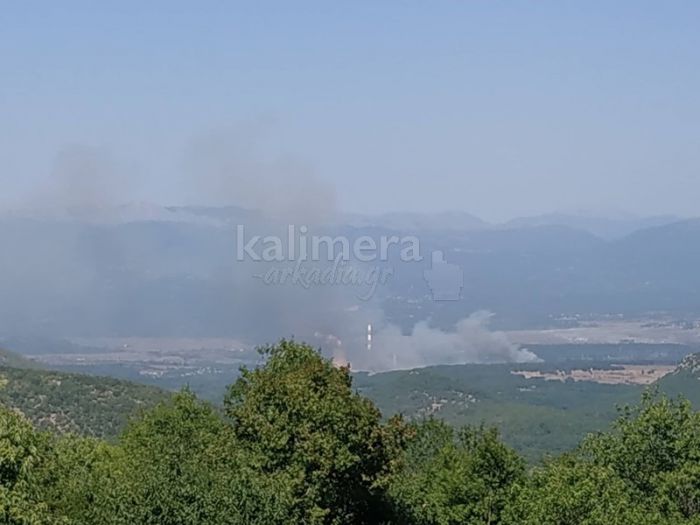 Υπό έλεγχο η μεγάλη φωτιά κοντά στην 5η Μονάδα της ΔΕΗ Μεγαλόπολης - Δείτε εικόνες και βίντεο!