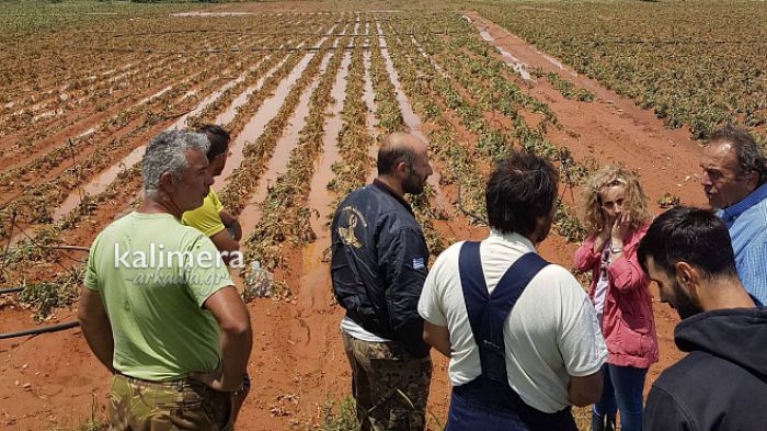 Βούρβουρα: Καταστροφές σε καλλιέργειες από το χαλάζι - Η πρώτη εκτίμηση από τον ΕΛΓΑ