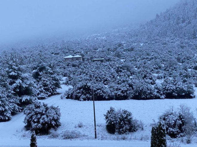 &Tau;&alpha; &pi;ά&nu;&tau;&alpha; ... &lambda;&epsilon;&upsilon;&kappa;ά &sigma;&tau;&eta; &Beta;&lambda;&alpha;&chi;έ&rho;&nu;&alpha; (&epsilon;&iota;&kappa;ό&nu;&epsilon;&sigmaf;)