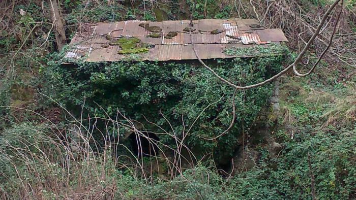 Εθελοντικός καθαρισμός στο χώρο του Νερόμυλου και του μονοπατιού στη Σίταινα