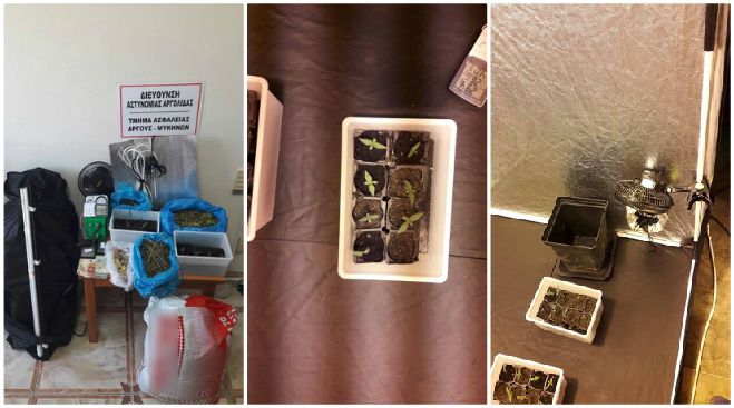 &Pi;ά&nu;&omega; &alpha;&pi;ό έ&nu;&alpha; &kappa;&iota;&lambda;ό &kappa;ά&nu;&nu;&alpha;&beta;&eta;&sigmaf; &epsilon;&nu;&tau;ό&pi;&iota;&sigma;&epsilon; &eta; &Alpha;&sigma;&tau;&upsilon;&nu;&omicron;&mu;ί&alpha; &sigma;&tau;&eta;&nu; &Alpha;&rho;&gamma;&omicron;&lambda;ί&delta;&alpha;