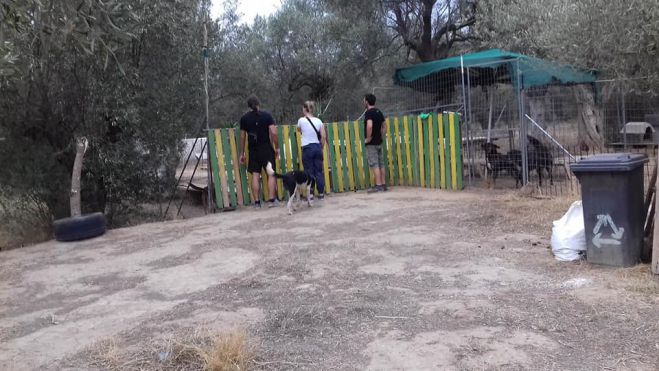 Ανοίγουν οι εγκαταστάσεις του Φιλοζωικού Συλλόγου Τρίπολης