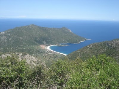 &Alpha;&upsilon;&tau;&omicron;&kappa;ί&nu;&eta;&tau;&omicron; &mu;&epsilon; 5 &epsilon;&pi;&iota;&beta;&alpha;ί&nu;&omicron;&nu;&tau;&epsilon;&sigmaf; έ&pi;&epsilon;&sigma;&epsilon; &sigma;&epsilon; &chi;&alpha;&rho;ά&delta;&rho;&alpha; &sigma;&tau;&omicron; &Phi;&omega;&kappa;&iota;&alpha;&nu;ό &Kappa;&upsilon;&nu;&omicron;&upsilon;&rho;ί&alpha;&sigmaf;!