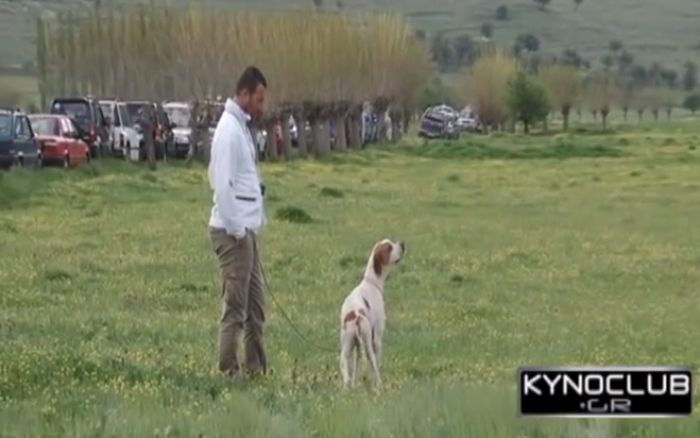 &Alpha;&nu;&alpha;&beta;ά&lambda;&lambda;&epsilon;&tau;&alpha;&iota; &tau;&omicron; &Kappa;&upsilon;&nu;&omicron;&phi;&iota;&lambda;&iota;&kappa;ό &Alpha;&nu;&tau;ά&mu;&omega;&mu;&alpha; &sigma;&tau;&eta; &Nu;&epsilon;&sigma;&tau;ά&nu;&eta;