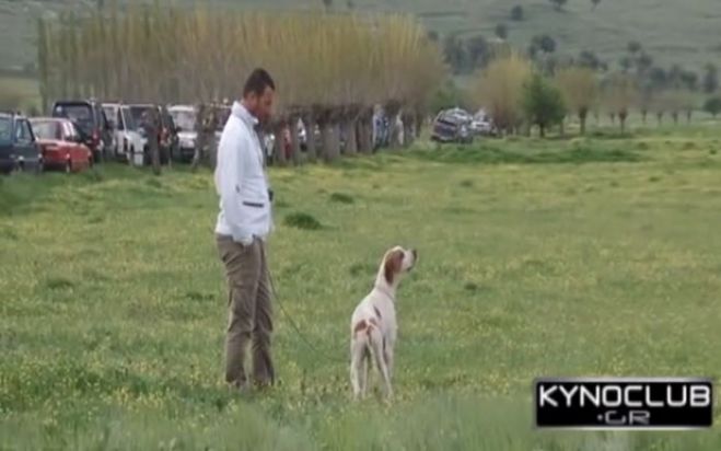 &Alpha;&nu;&alpha;&beta;ά&lambda;&lambda;&epsilon;&tau;&alpha;&iota; &tau;&omicron; &Kappa;&upsilon;&nu;&omicron;&phi;&iota;&lambda;&iota;&kappa;ό &Alpha;&nu;&tau;ά&mu;&omega;&mu;&alpha; &sigma;&tau;&eta; &Nu;&epsilon;&sigma;&tau;ά&nu;&eta;