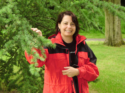 &Sigma;&chi;&omicron;&lambda;&iota;&alpha;&sigma;&mu;ό&sigmaf; &kappa;&alpha;&iota; &alpha;&pi;ά&nu;&tau;&eta;&sigma;&eta; &sigma;&tau;&omicron; ά&rho;&theta;&rho;&omicron; &tau;&omicron;&upsilon; &kappa;. &Mu;&alpha;&rho;ί&nu;&eta; &Mu;&pi;&epsilon;&rho;έ&tau;&sigma;&omicron;&upsilon;