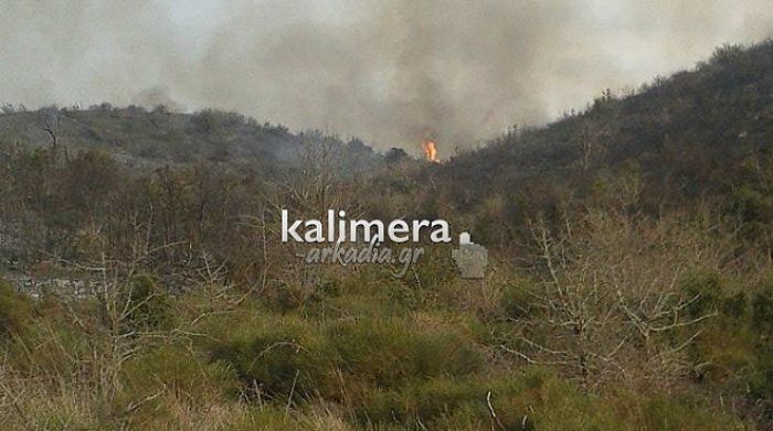 &Upsilon;&pi;ό έ&lambda;&epsilon;&gamma;&chi;&omicron; &eta; &pi;&upsilon;&rho;&kappa;&alpha;&gamma;&iota;ά &sigma;&tau;&omicron; &Pi;&alpha;&lambda;&lambda;ά&nu;&tau;&iota;&omicron;! (&epsilon;&iota;&kappa;ό&nu;&epsilon;&sigmaf;)