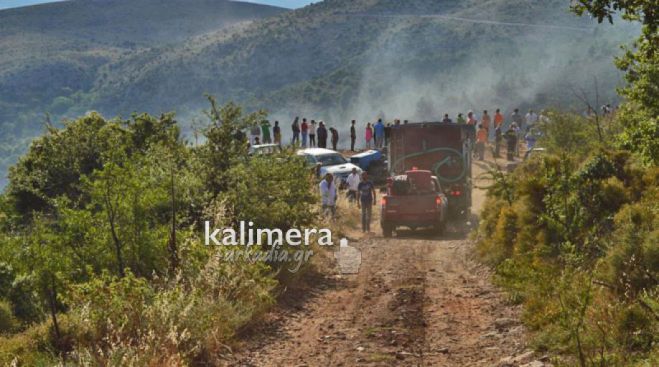 Τα τελευταία στοιχεία για τις πυρκαγιές σε Μεσσηνία και Φαλαισία