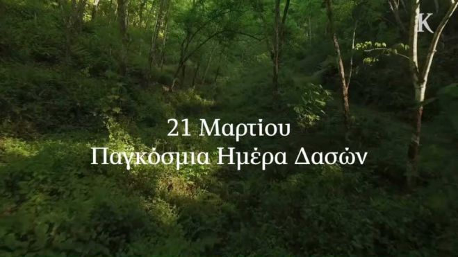 Παγκόσμια Ημέρα των Δασών | Για τους ανθρώπους που ζουν στις πόλεις, τα δάση αποτελούν σημαντική πηγή καθαρού αέρα και νερού